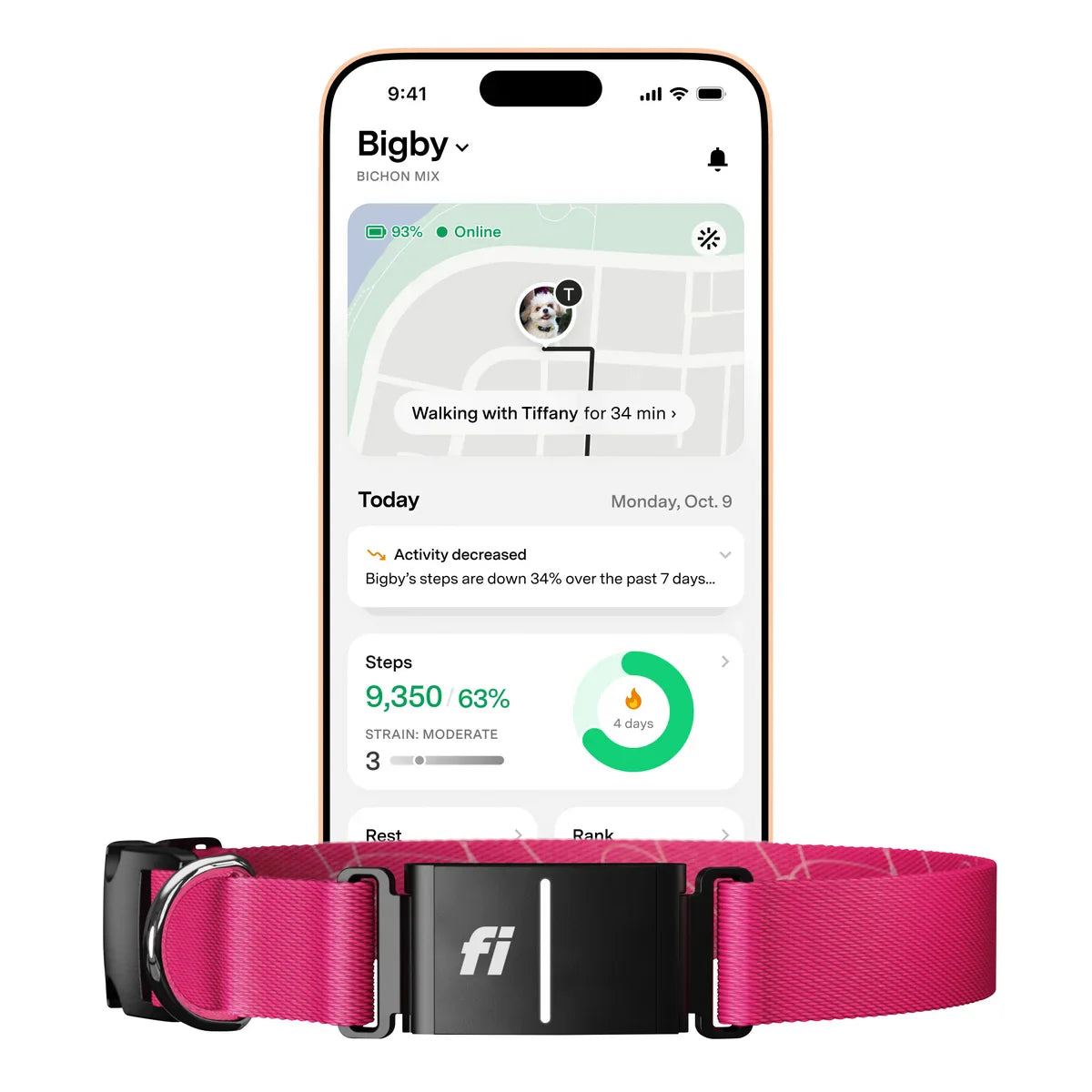 Fi Series 3+ Smart Dog Collar - GPS Tracker and Activity & Health Monitor, 14-Month Subscription