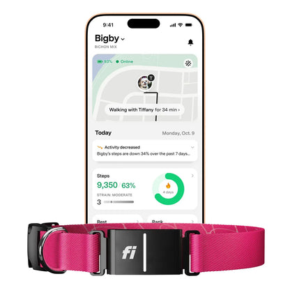 Fi Series 3+ Smart Dog Collar - GPS Tracker and Activity & Health Monitor, 14-Month Subscription