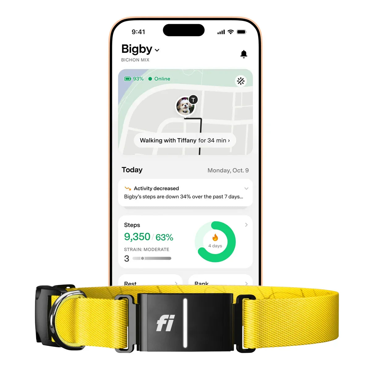 Fi Series 3+ Smart Dog Collar - GPS Tracker and Activity & Health Monitor, 14-Month Subscription