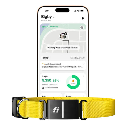 Fi Series 3+ Smart Dog Collar - GPS Tracker and Activity & Health Monitor, 14-Month Subscription