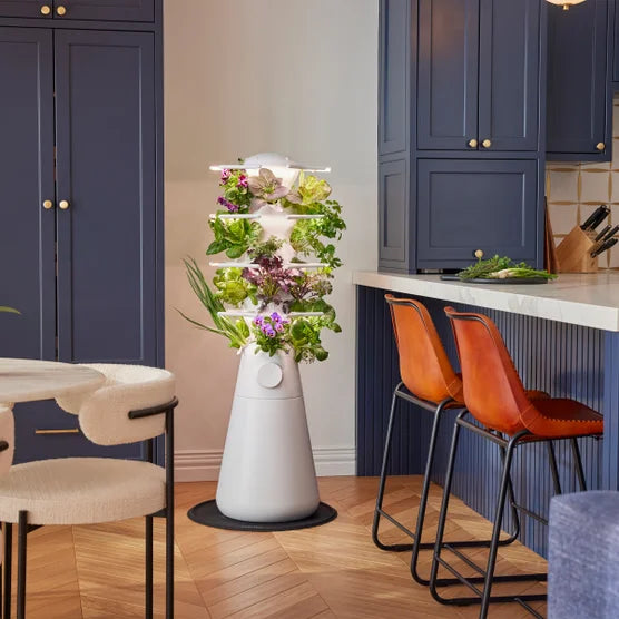 Lettuce Grow Farmstand Nook