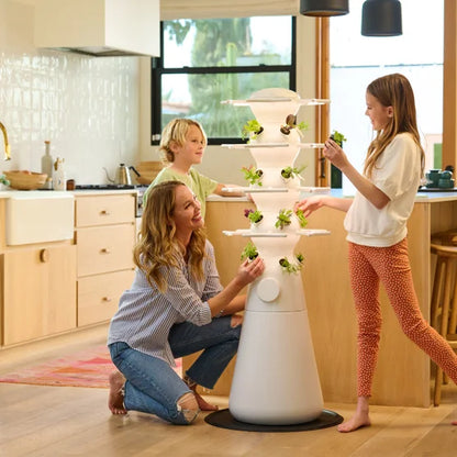 Lettuce Grow Farmstand Nook