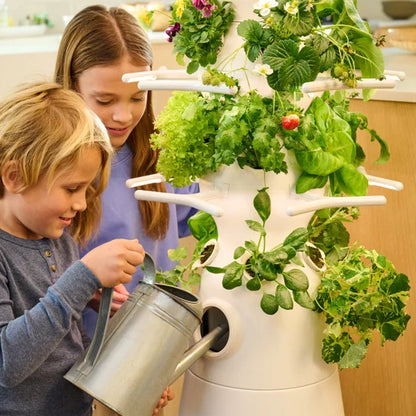 Lettuce Grow Farmstand Nook