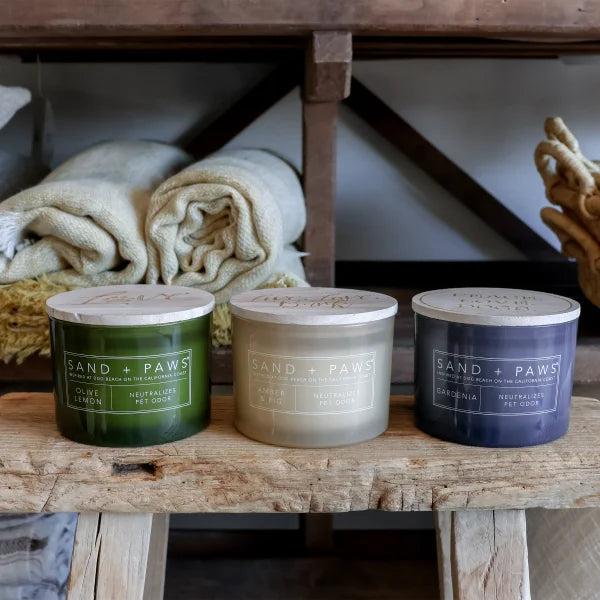 Sand + Paws 12 oz. Candles with Carved Wood Lids, Set of 3