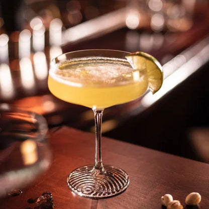 Fortessa Echo Tritan Coupe Cocktail Glasses 9.4 oz, Set of 4