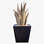 Snake Agave with Planter by Desert Steel