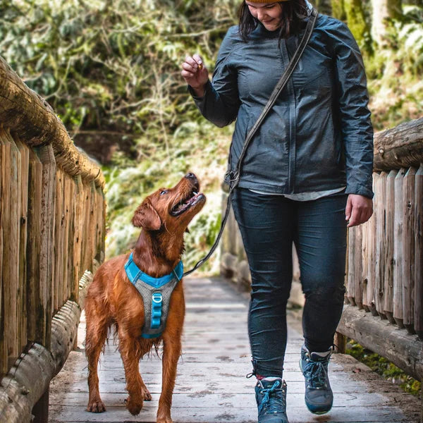 Kurgo Journey Air Harness and Quantum 6-in1 Leash Bundle