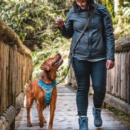 Kurgo Journey Air Harness and Quantum 6-in1 Leash Bundle