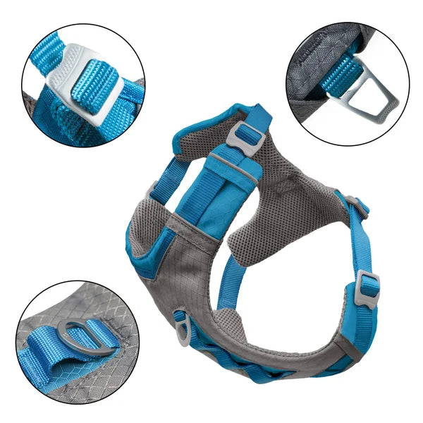 Kurgo Journey Air Harness and Quantum 6-in1 Leash Bundle