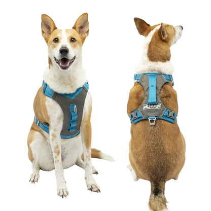 Kurgo Journey Air Harness and Quantum 6-in1 Leash Bundle