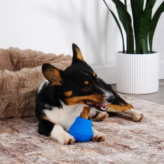 NUBZ Treat N' Chew Dog Toy Variety Pack, 3-count