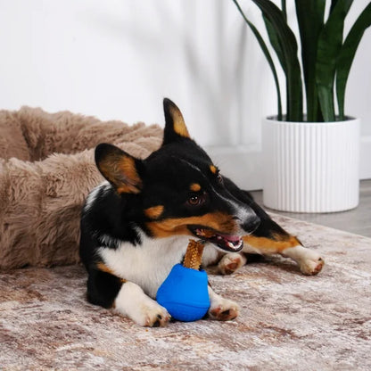 NUBZ Treat N' Chew Dog Toy Variety Pack, 3-count