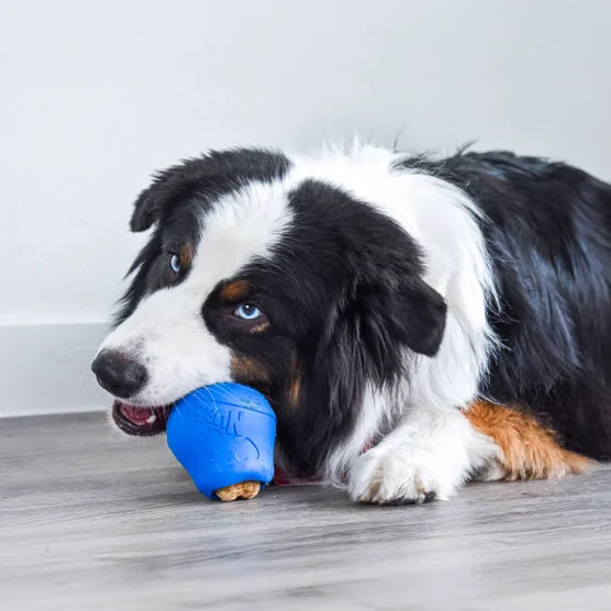 NUBZ Treat N' Chew Dog Toy Variety Pack, 3-count