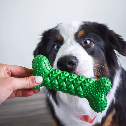 NUBZ Treat N' Chew Dog Toy Variety Pack, 3-count