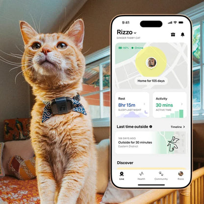 Fi Mini GPS Tracker for Dogs & Cats - Activity & Health Monitor