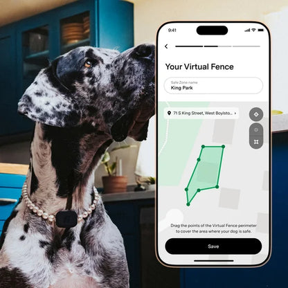 Fi Mini GPS Tracker for Dogs & Cats - Activity & Health Monitor