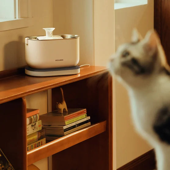 Cordless Pet Water Fountain