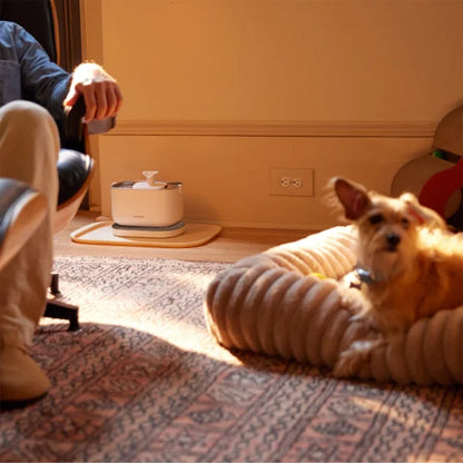 Cordless Pet Water Fountain