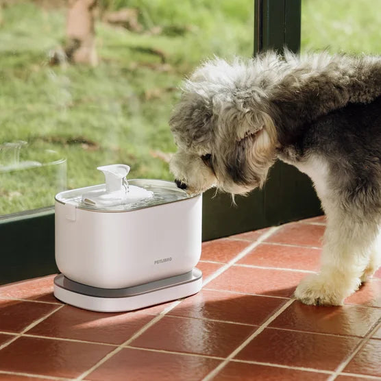 Cordless Pet Water Fountain
