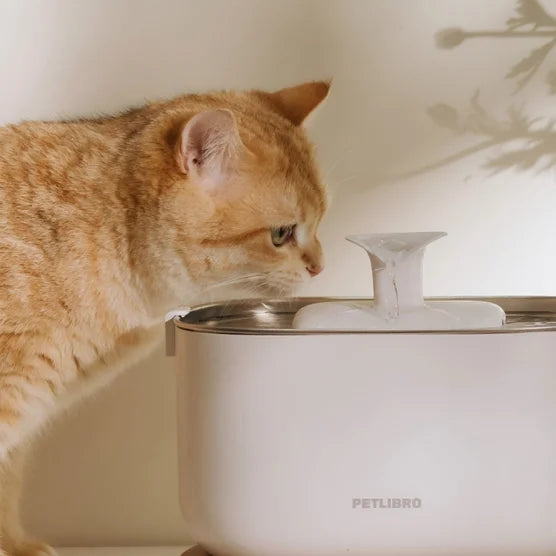 Cordless Pet Water Fountain