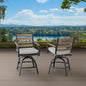 Nicolet 2-piece Outdoor Patio High Dining Swivel Chairs