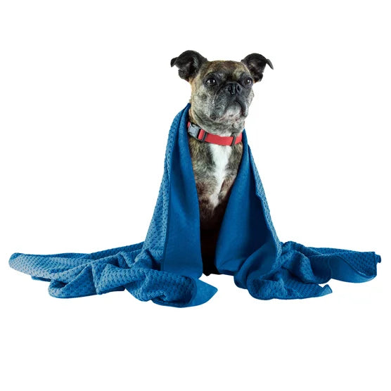 Dog Towel and Waterless Dog 16 fl oz Shampoo Bundle