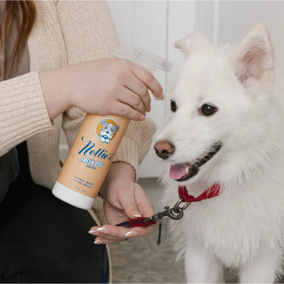 Dog Towel and Waterless Dog 16 fl oz Shampoo Bundle