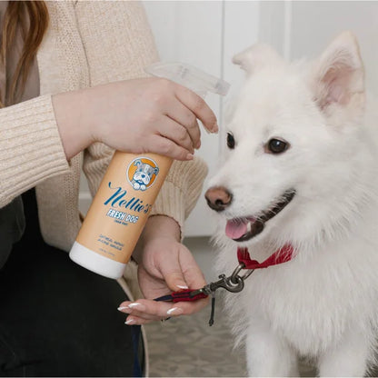 Dog Towel and Waterless Dog 16 fl oz Shampoo Bundle