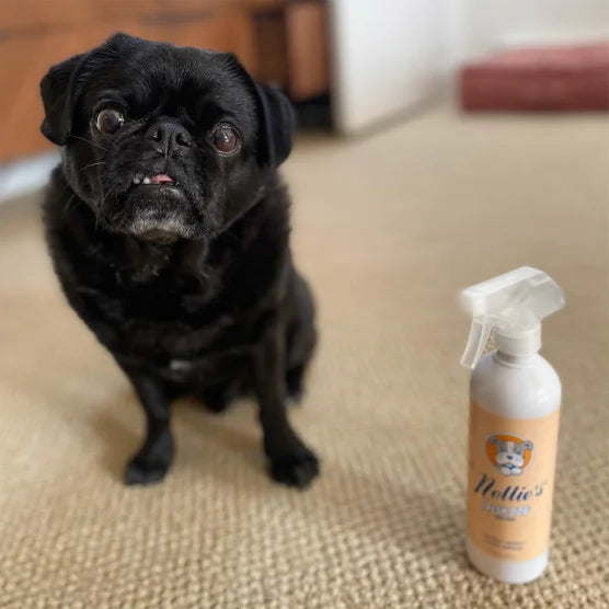 Dog Towel and Waterless Dog 16 fl oz Shampoo Bundle