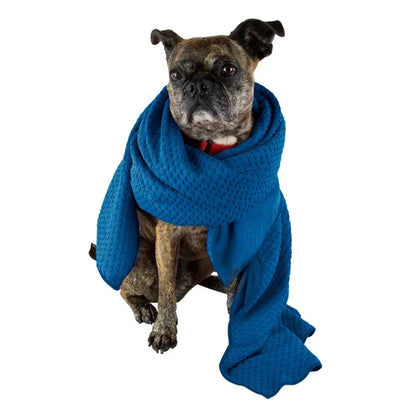 Dog Towel and Waterless Dog 16 fl oz Shampoo Bundle