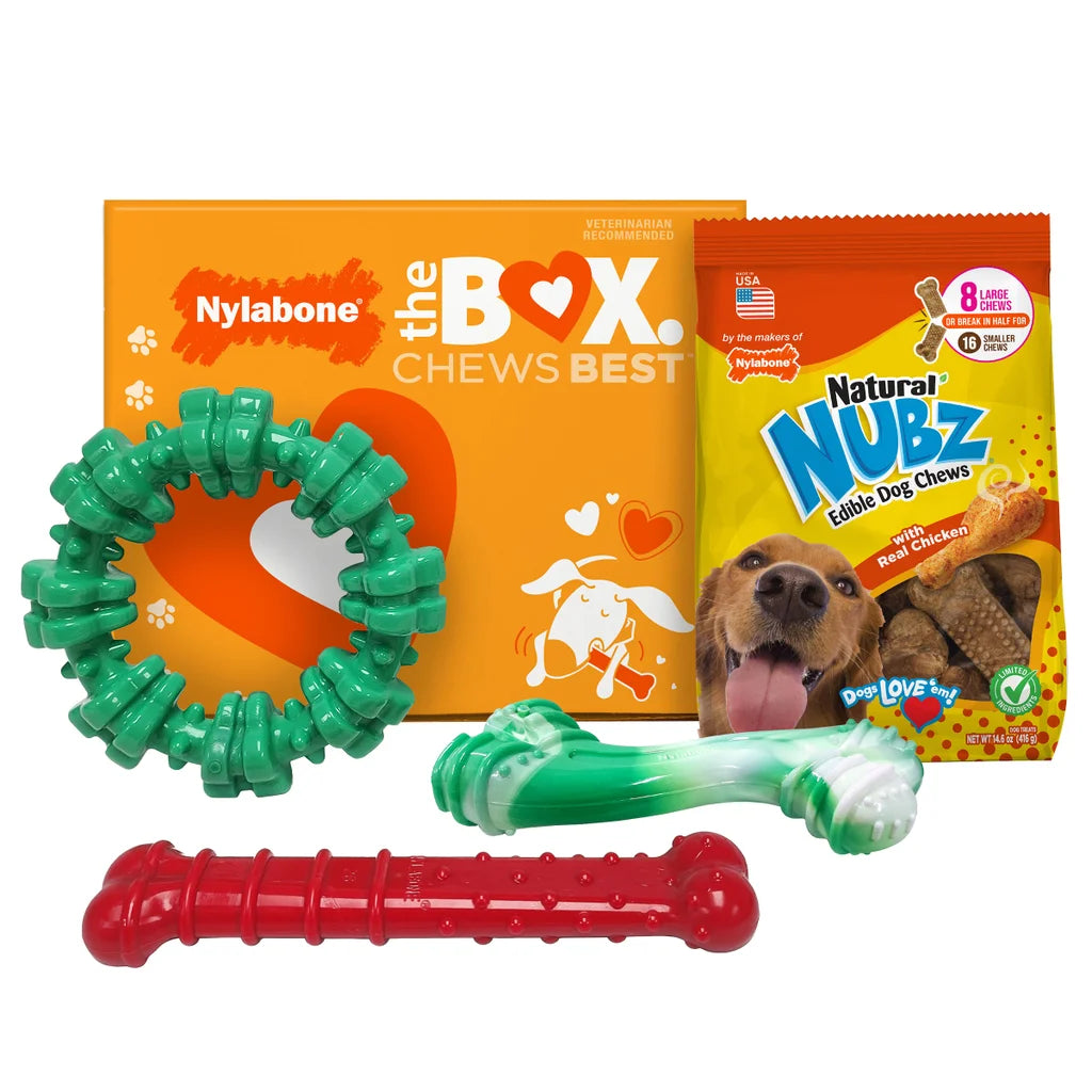 Chew Toys & NUBZ Chew Treats Holiday Gift Box, 4-count