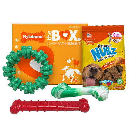 Chew Toys & NUBZ Chew Treats Holiday Gift Box, 4-count