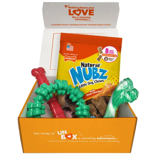 Chew Toys & NUBZ Chew Treats Holiday Gift Box, 4-count