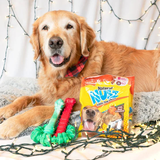 Chew Toys & NUBZ Chew Treats Holiday Gift Box, 4-count