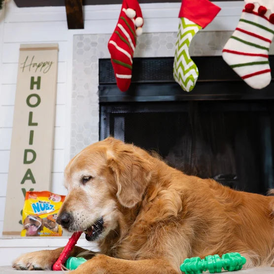 Chew Toys & NUBZ Chew Treats Holiday Gift Box, 4-count