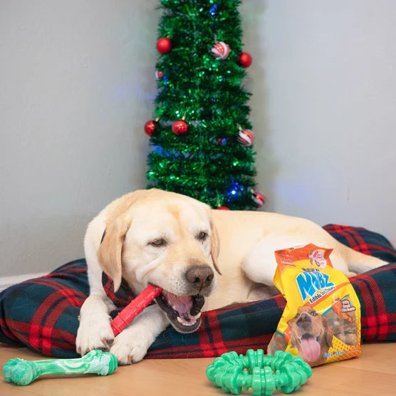 Chew Toys & NUBZ Chew Treats Holiday Gift Box, 4-count