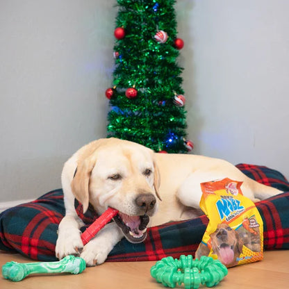 Chew Toys & NUBZ Chew Treats Holiday Gift Box, 4-count