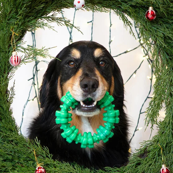 Chew Toys & NUBZ Chew Treats Holiday Gift Box, 4-count