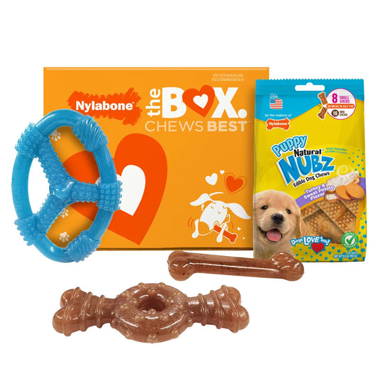 Puppy Chew Toys and Small NUBZ Gift Box, 4-count