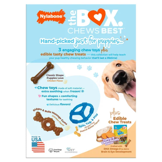 Puppy Chew Toys and Small NUBZ Gift Box, 4-count