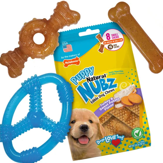 Puppy Chew Toys and Small NUBZ Gift Box, 4-count