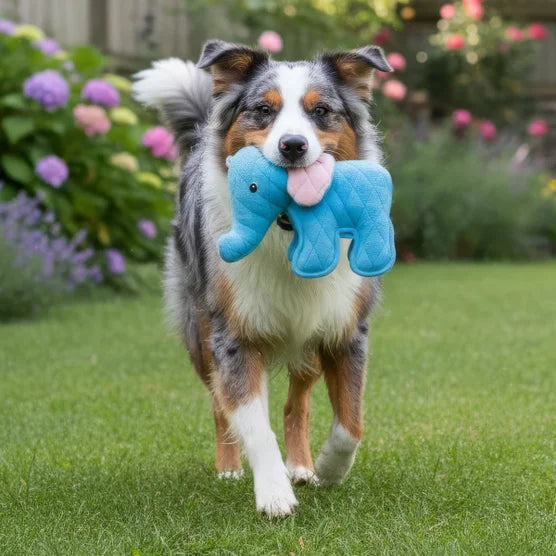 Safari XXL Tough Dog Toys, 2-count