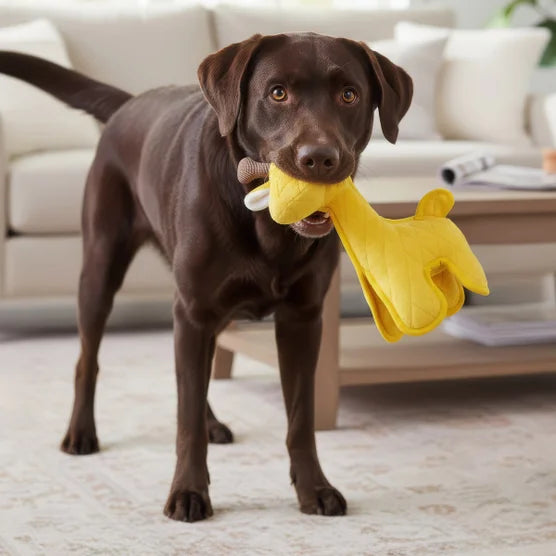 Safari XXL Tough Dog Toys, 2-count