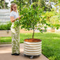 Self-Watering Rolling Citrus Tree Planter