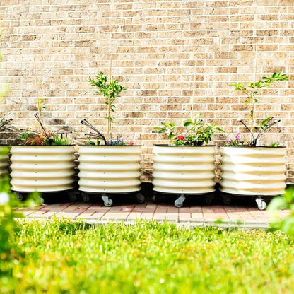 Self-Watering Rolling Citrus Tree Planter