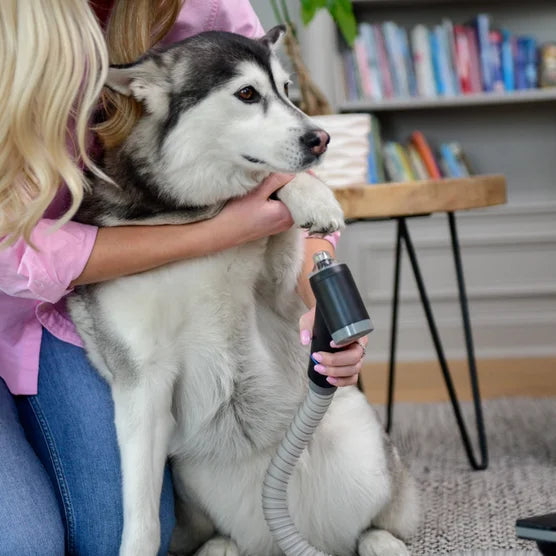 Paw Maintenance Vacuum Attachment Set