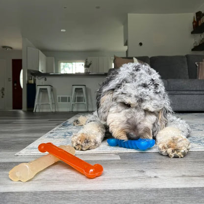 Nylabone Fun and Flexi Dog Toys, 3-count