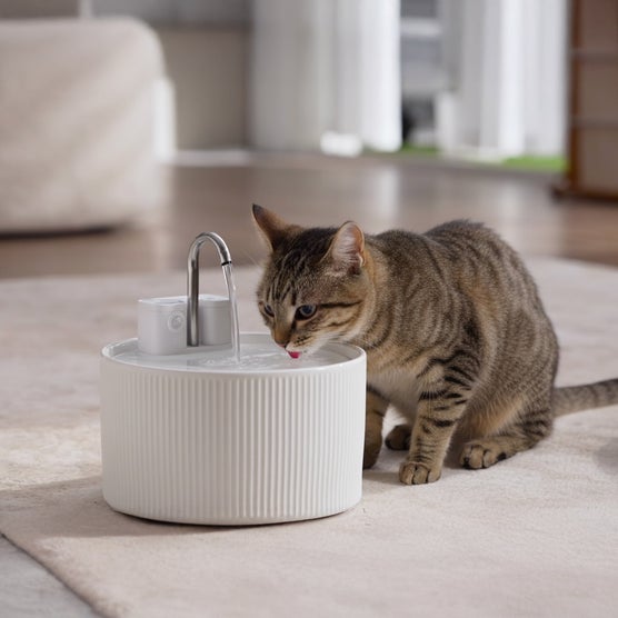 Cordless Ceramic Faucet-Style Pet Water Fountain
