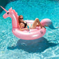 Pool Floats 2-pack