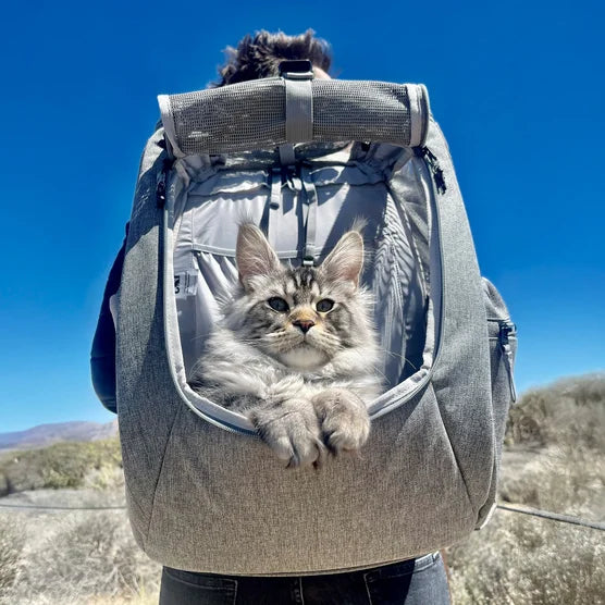 Travel Cat The Navigator Convertible Cat Backpack